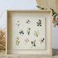 50PCS Transparent Vintage Floral Stickers | Nature Plant Flower Scrapbook Decals