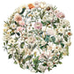 50PCS Transparent Vintage Floral Stickers | Nature Plant Flower Scrapbook Decals